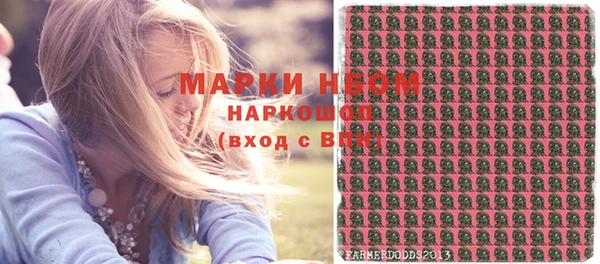 ГАЛЛЮЦИНОГЕННЫЕ ГРИБЫ Абаза