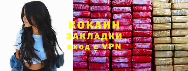 кокс Алексин