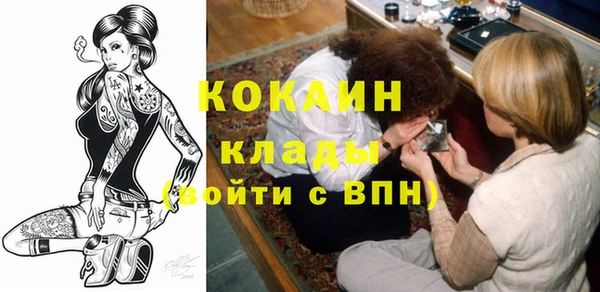 кокс Алексин