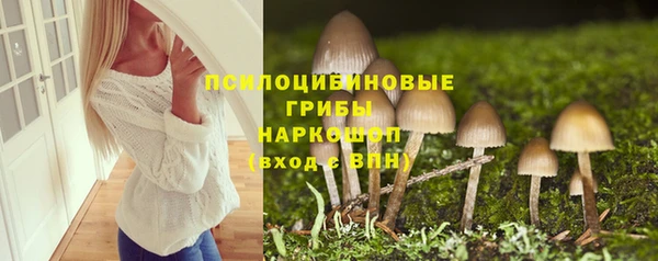 Альфа ПВП Алзамай