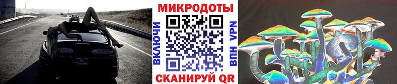 Псилоцибиновые грибы мицелий  где купить наркоту  Махачкала 