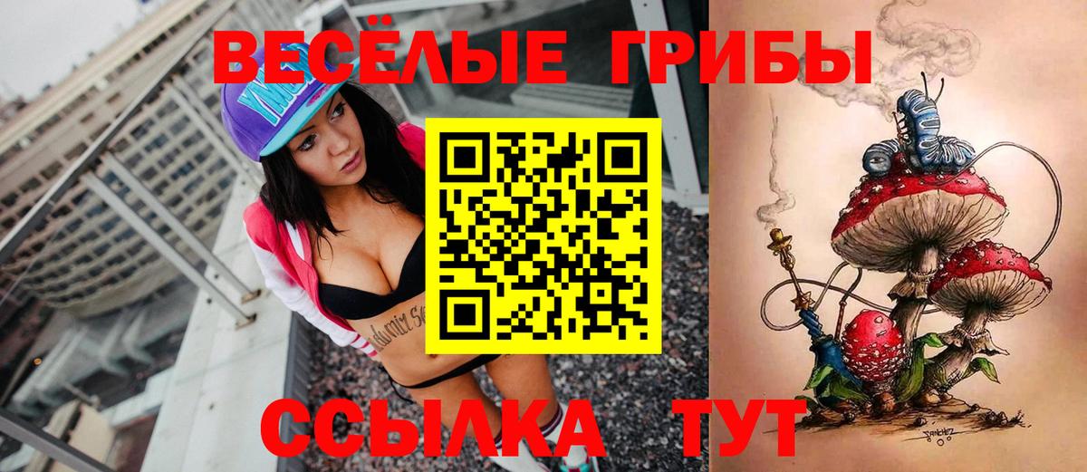 Псилоцибиновые грибы MAGIC MUSHROOMS  где найти   Махачкала  Вход с VPN 